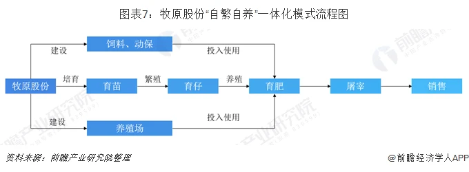 图表7：牧原股份“自繁自养”一体化模式流程图