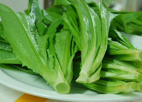 油麦菜是什么菜