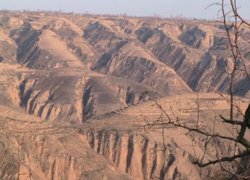 黄土是什么土