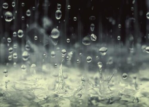 接的雨水能直接浇花吗 雨水浇花好不好