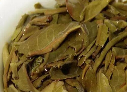 普洱茶渣可以做肥料吗