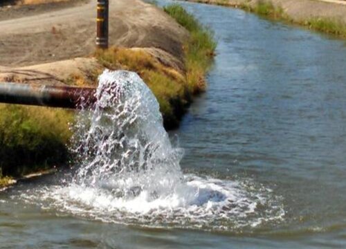 地下水可以直接浇花吗 浇花草树木会出现什么情况