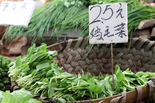 适合阳台种植的多年生蔬菜（阳台种什么菜可以长期采摘）