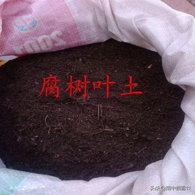 盆栽植物的配土方法 （盆栽种植花卉的土壤怎么配置最好）