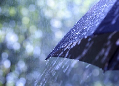 雨水能浇花吗 接雨水浇花方法